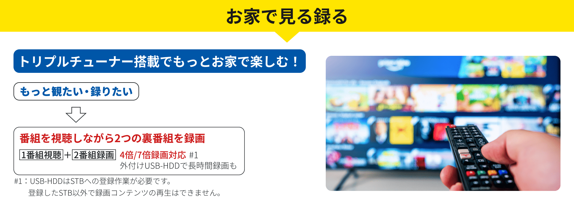 お家で見る録る