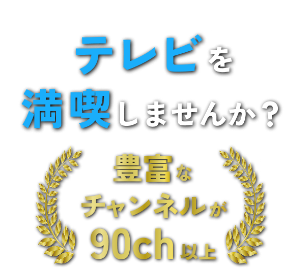 テレビを満喫しませんか？