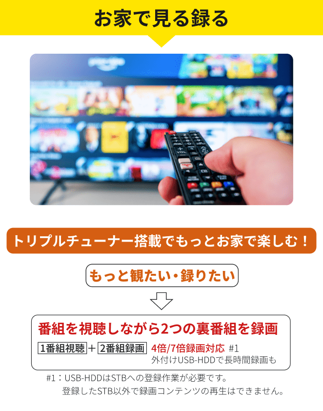 お家で見る録る