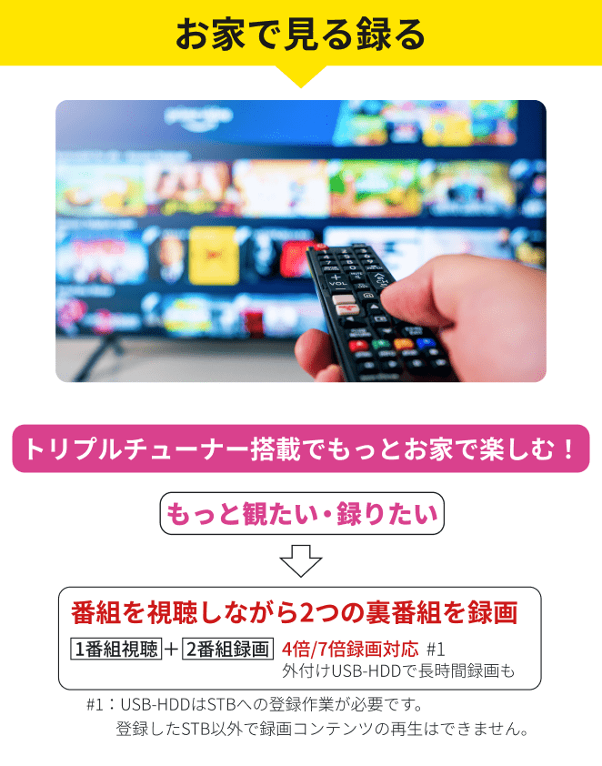 お家で見る録る